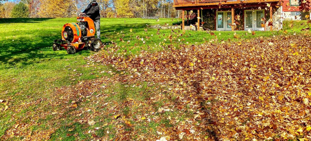 Leaf blower clearing fall leaves from a residential lawn